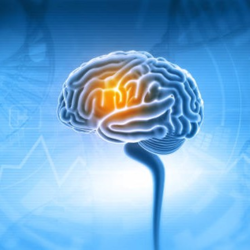 Update Neurologie